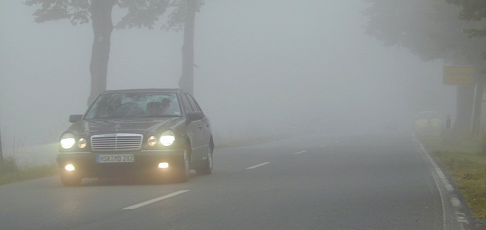 Auto u magli